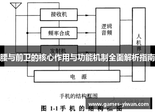 腰与前卫的核心作用与功能机制全面解析指南
